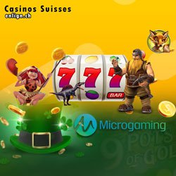 Casinos Microgaming